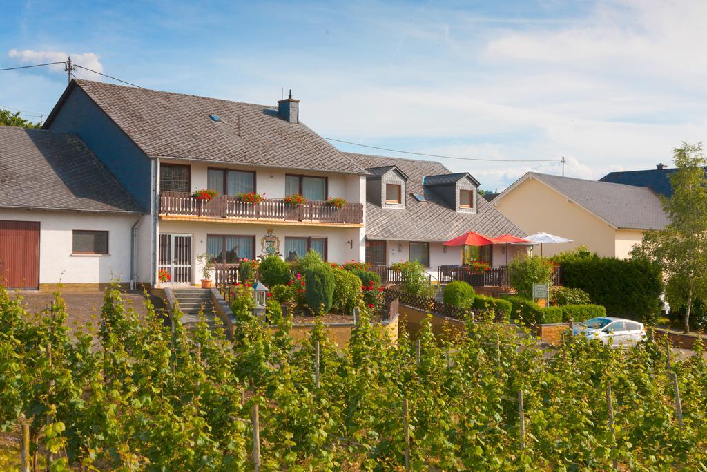 Pension Und Weingut Moselblick Браунеберг Экстерьер фото